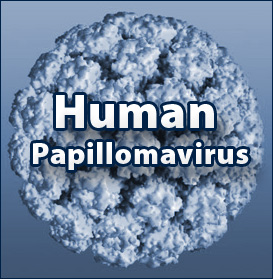 hpvvirus
