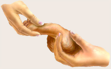 img-selfex